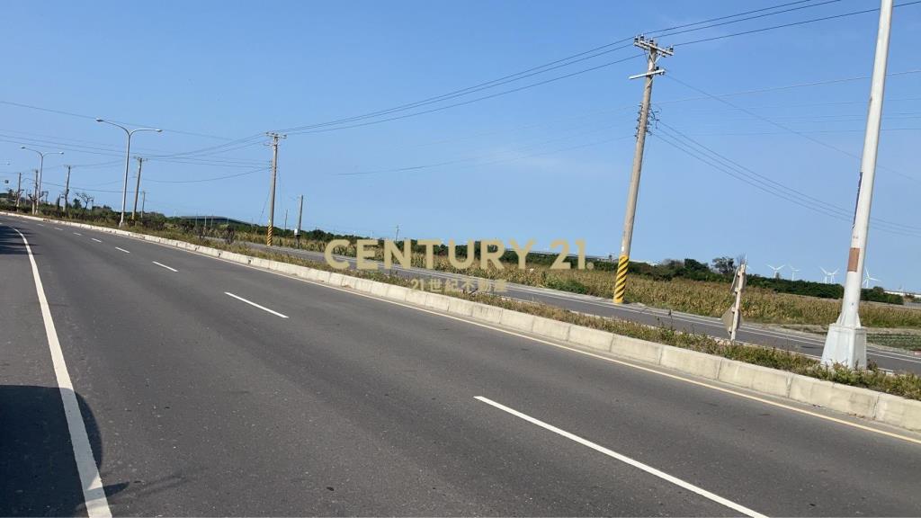 芳苑功湖路美農地(2)