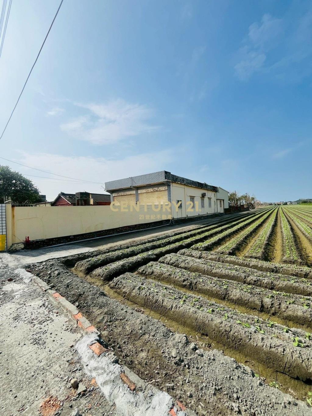 芳苑新興巷農舍