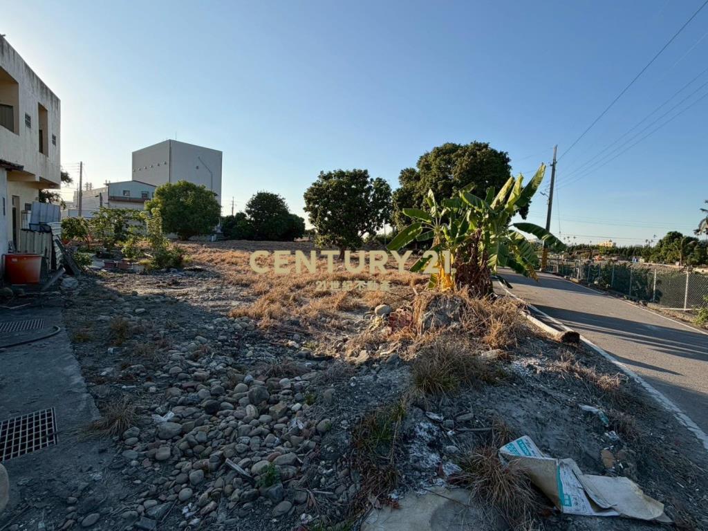 二水南通路旁大建地