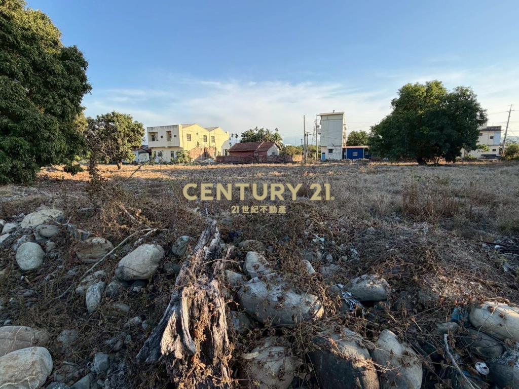 二水南通路旁大建地