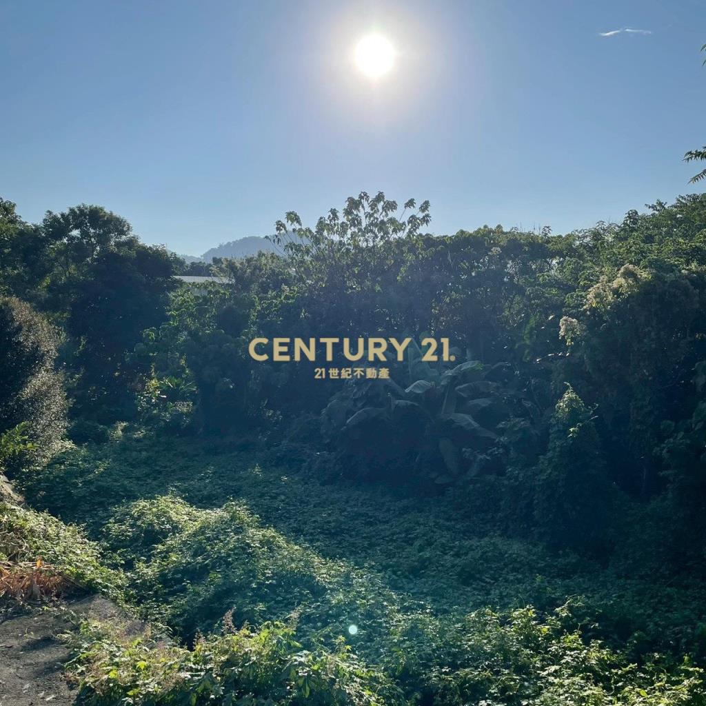 田中新太平段美田+合法農舍