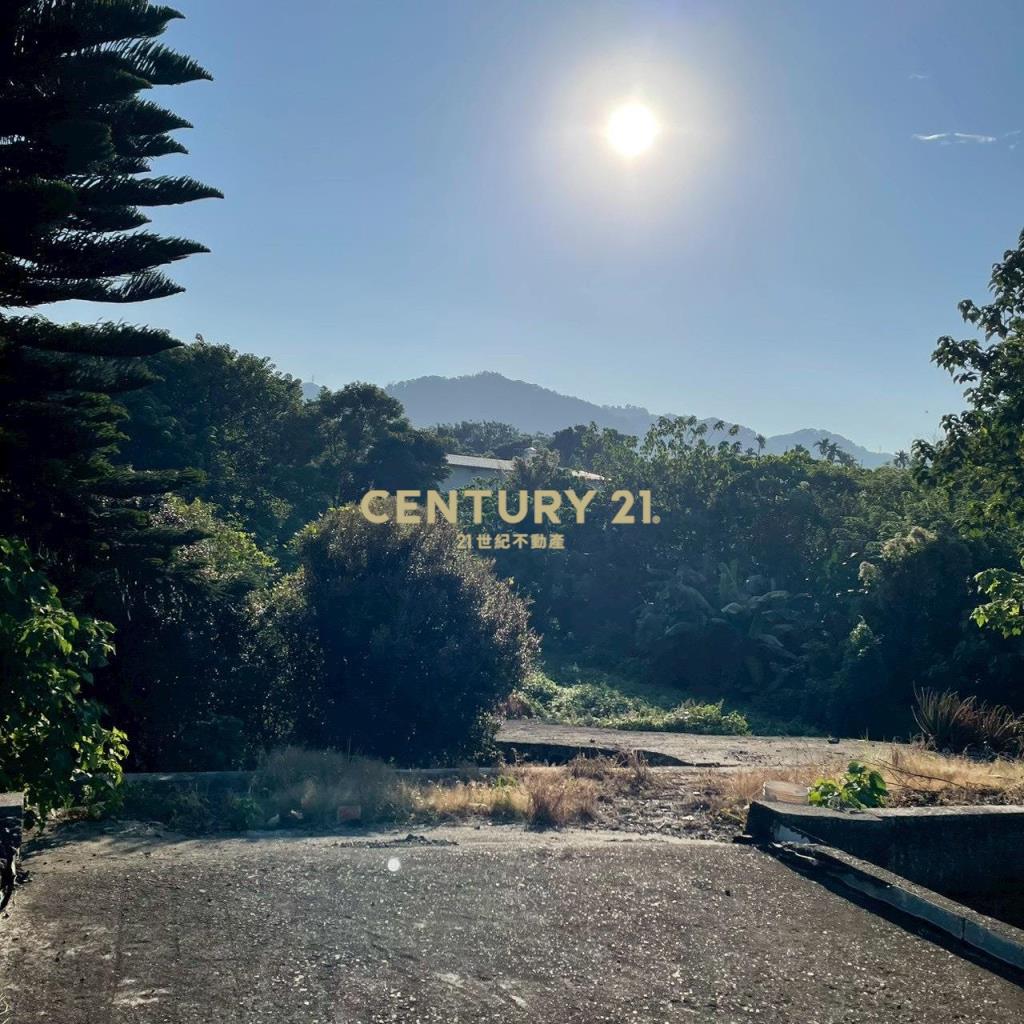 田中新太平段美田+合法農舍