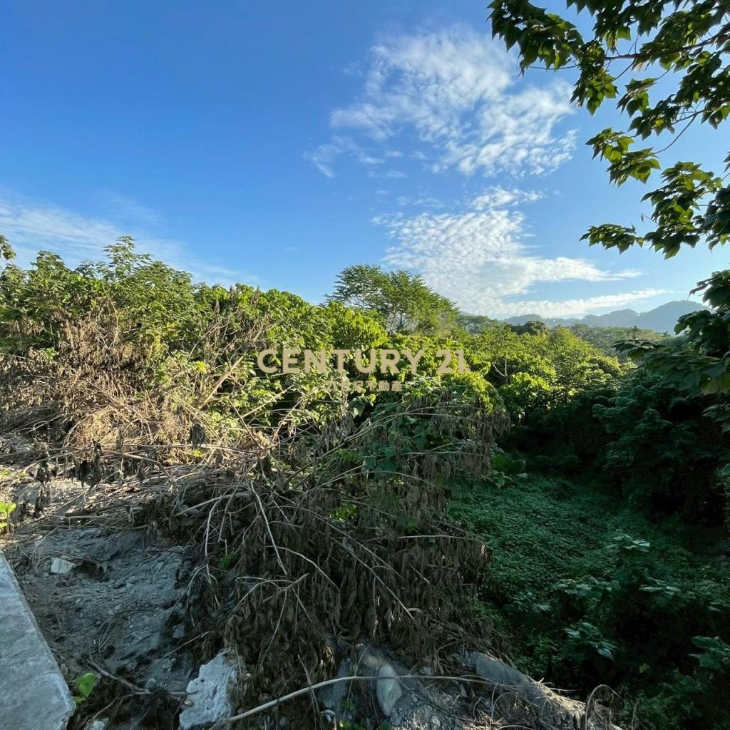 田中新太平段美田+合法農舍