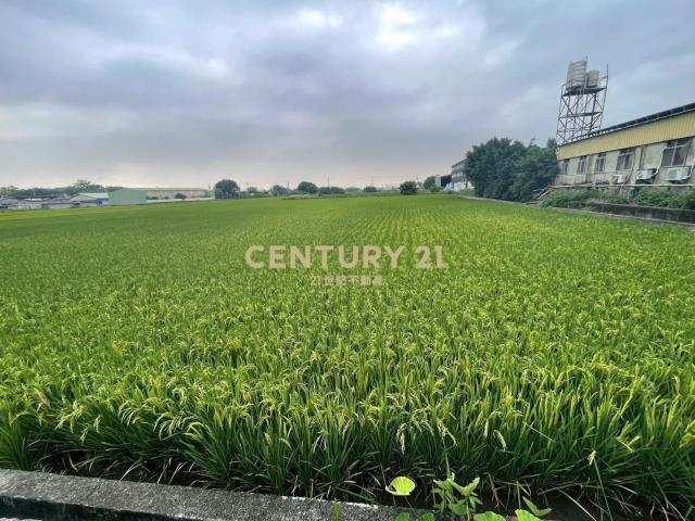 秀水 水尾巷旁 美田