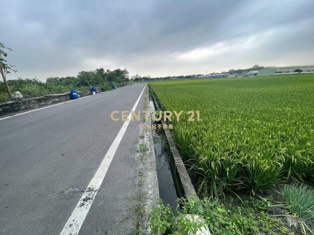 秀水 水尾巷旁 美田