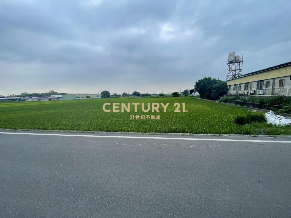 秀水 水尾巷旁 美田