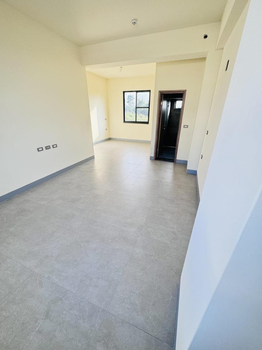 員林東區全新雙車別墅(A2)