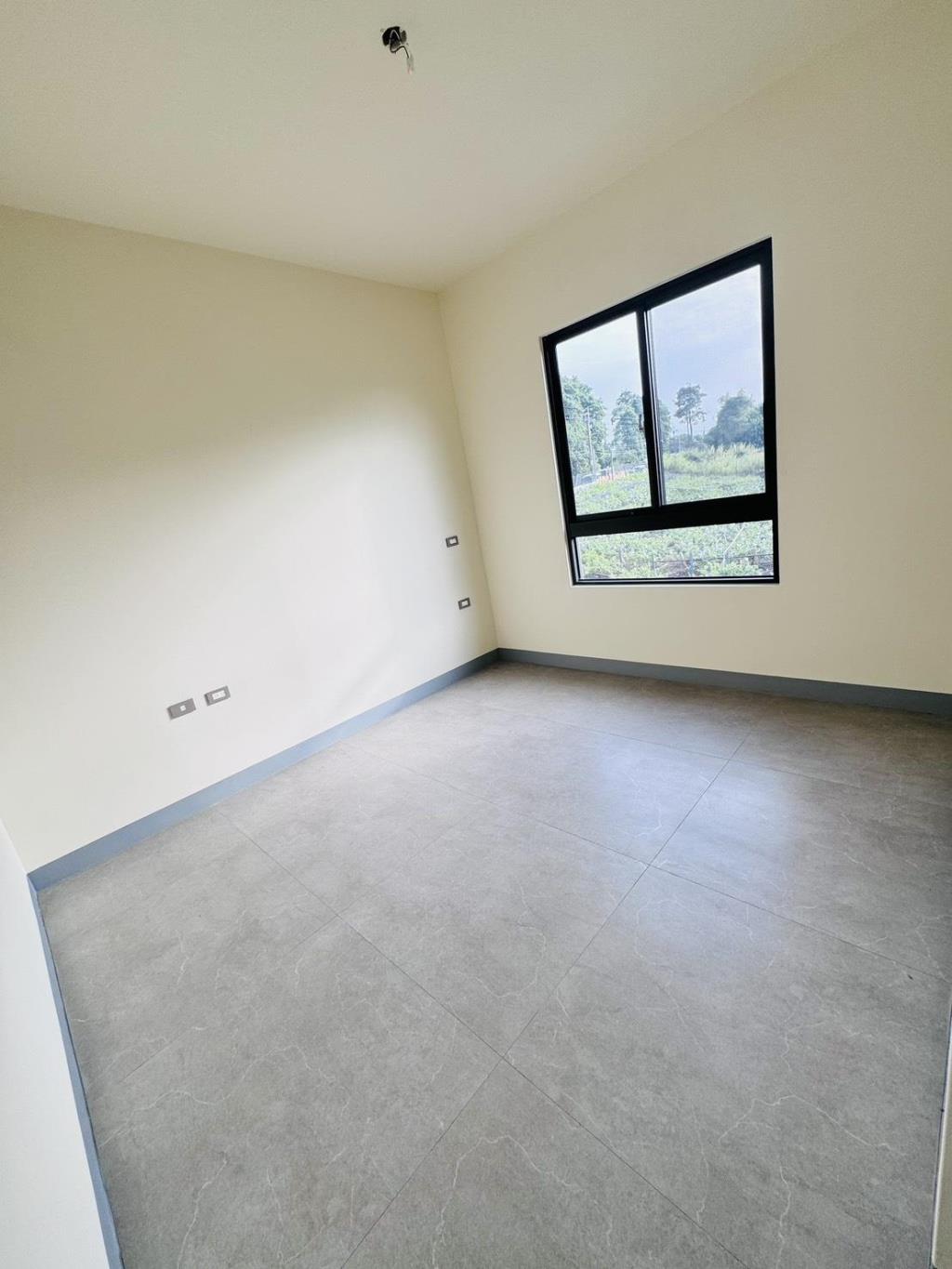 員林東區全新雙車別墅(A2)