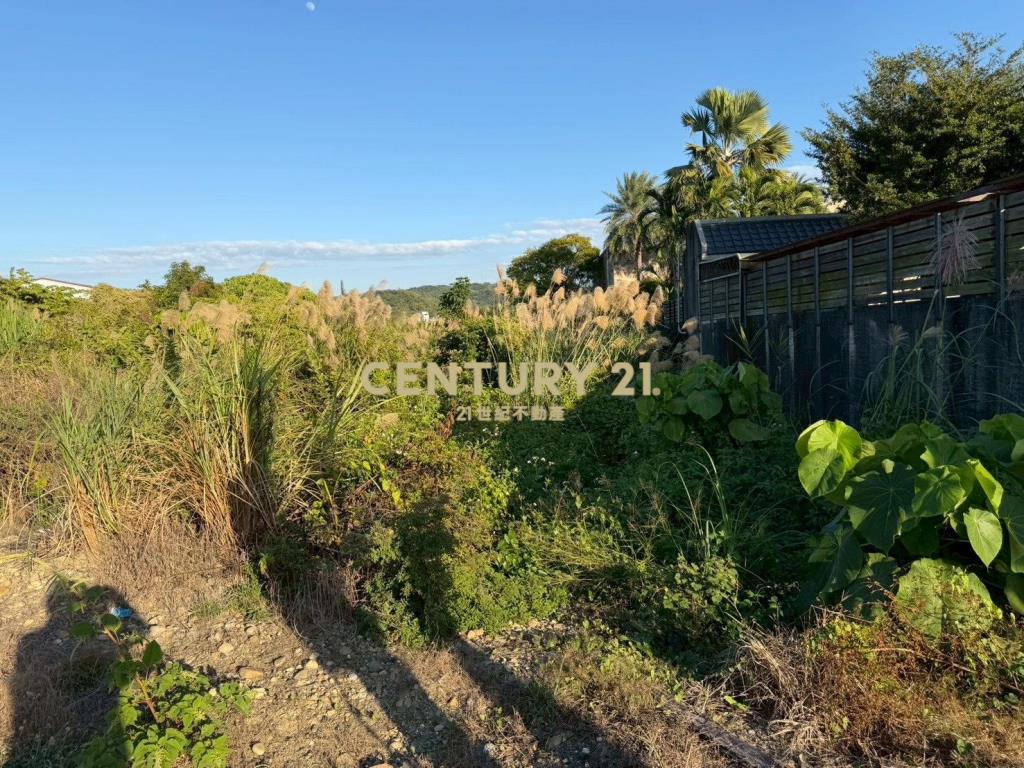 大村(正)東彰北路四段美田