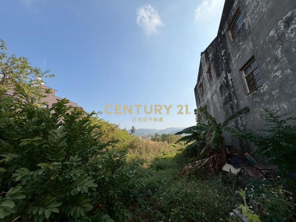 員林員水路旁美田