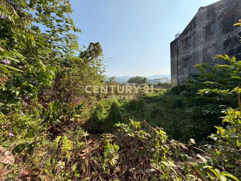 員林員水路旁美田