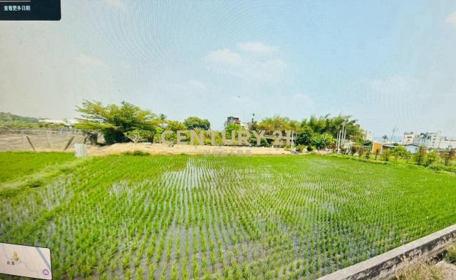 大村"鎮安宮"旁美田