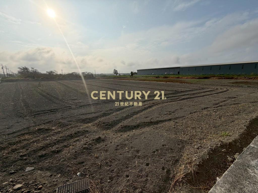 福興沿海路美田