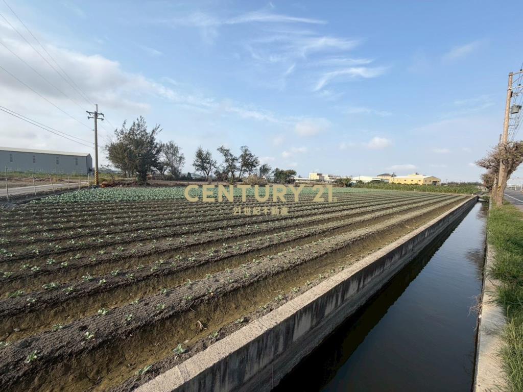 福興沿海路美田