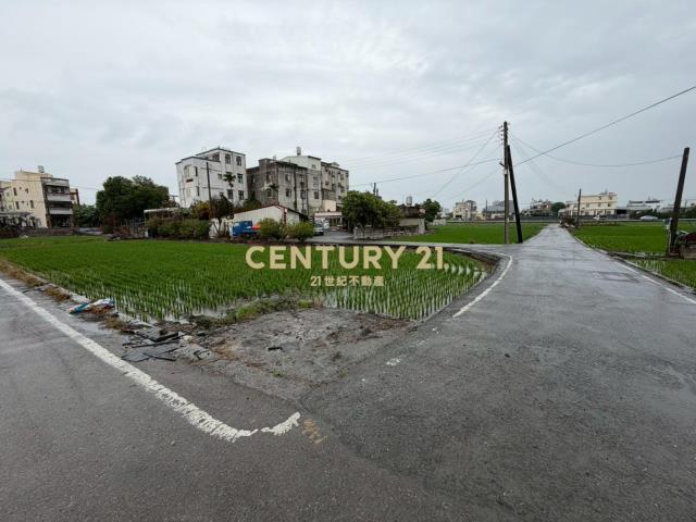 員林員大路旁美田