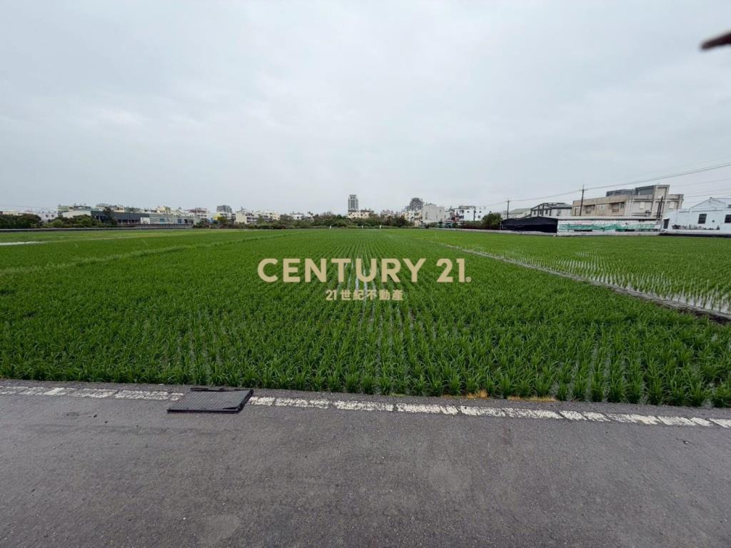 員林員大路旁美田