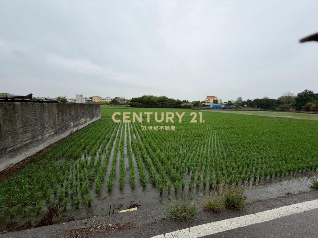 員林員大路旁美田