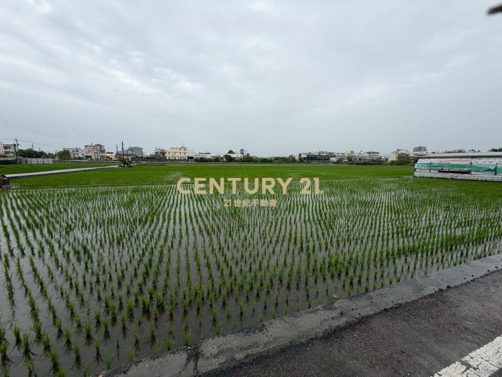 員林員大路旁美田
