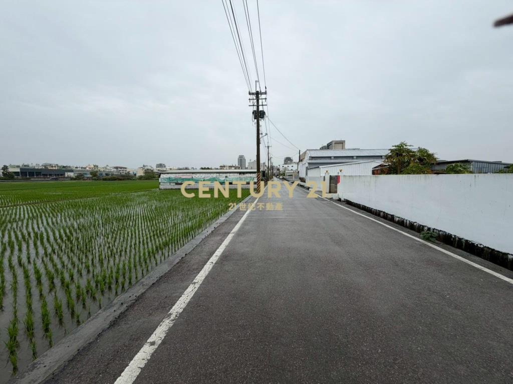 員林員大路旁美田