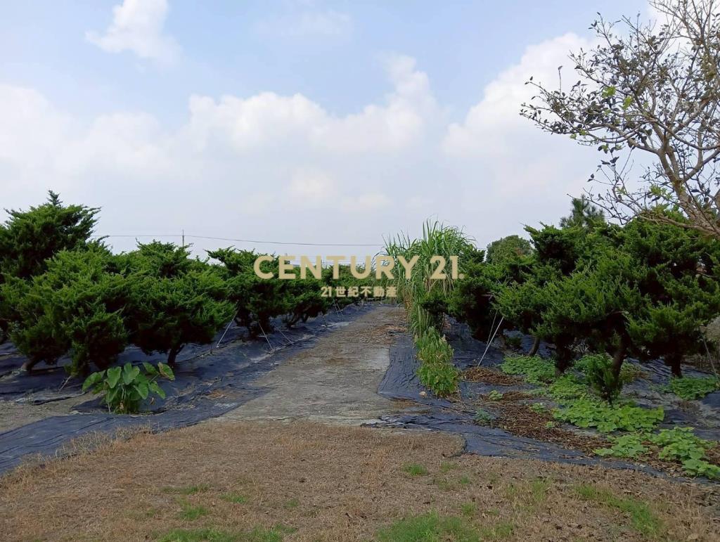 田中高鐵站旁田+合法資材室