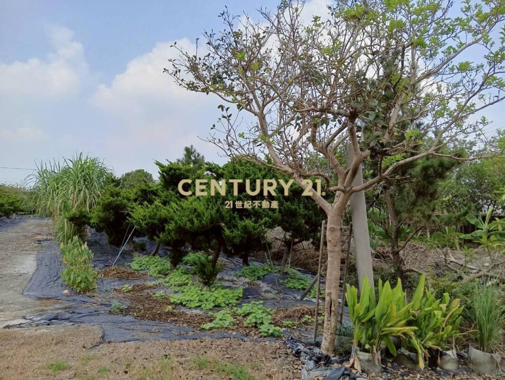 田中高鐵站旁田+合法資材室