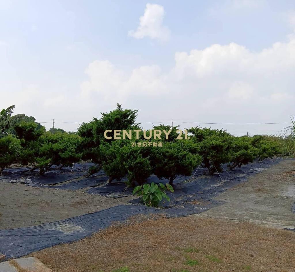 田中高鐵站旁田+合法資材室