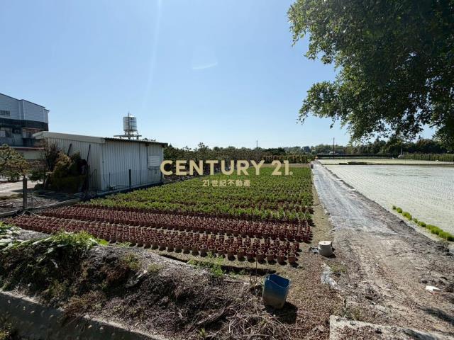 田尾平生巷農業設施+高級樹木