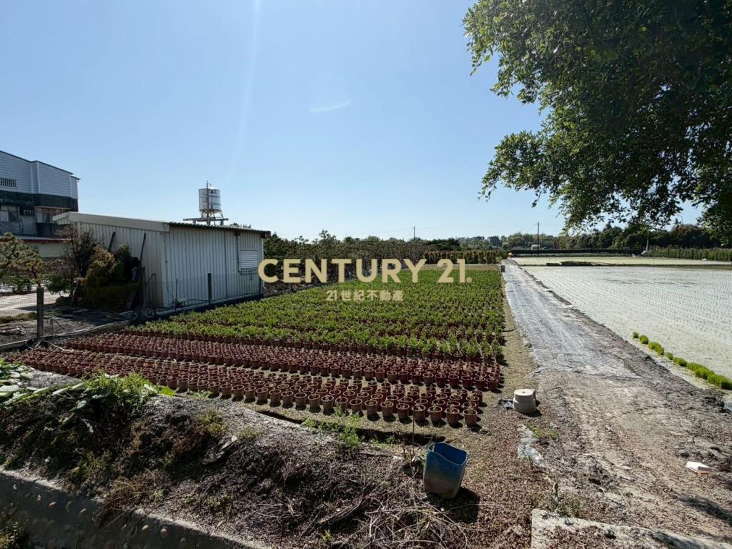 田尾平生巷農業設施+高級樹木