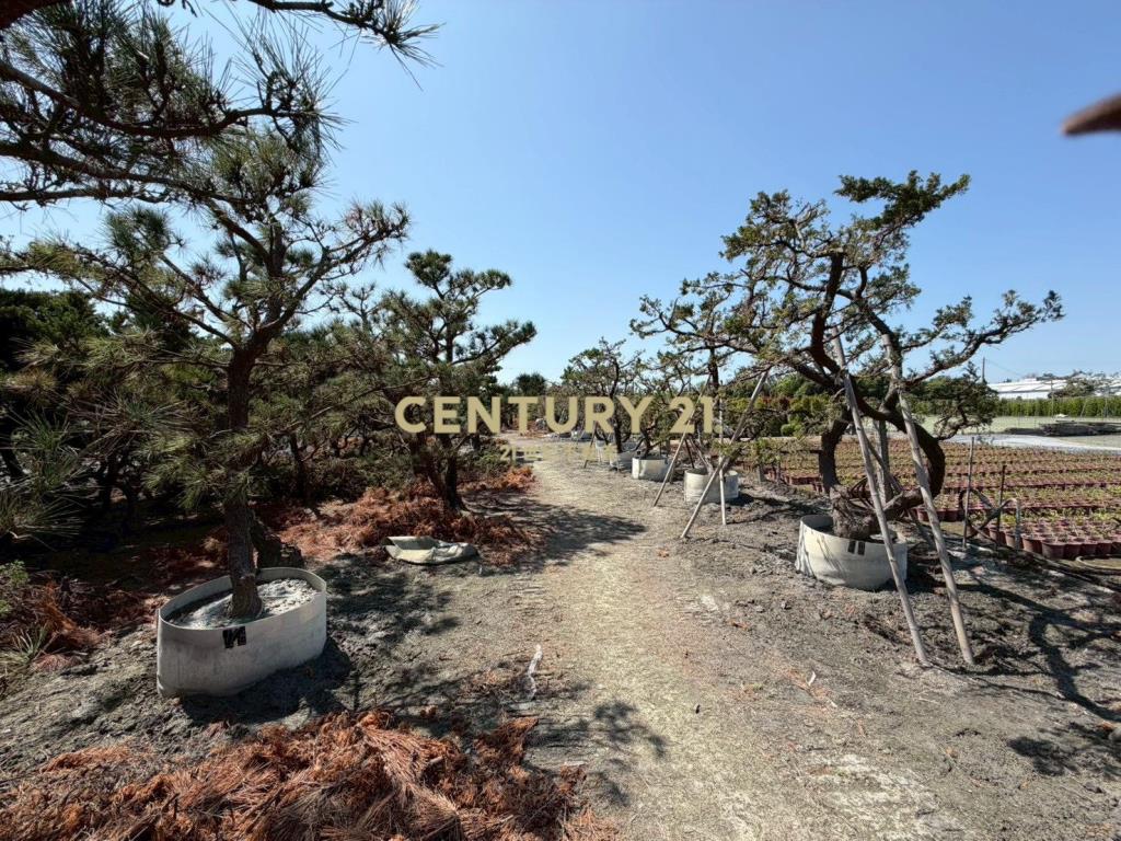 田尾平生巷農業設施+高級樹木