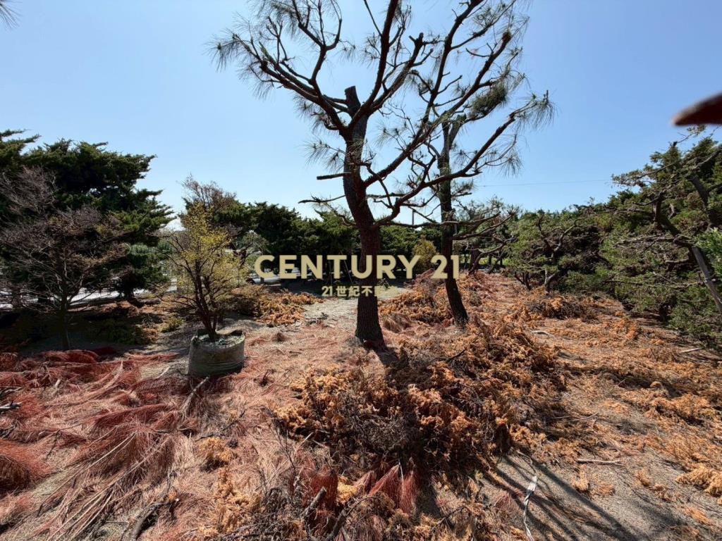 田尾平生巷農業設施+高級樹木