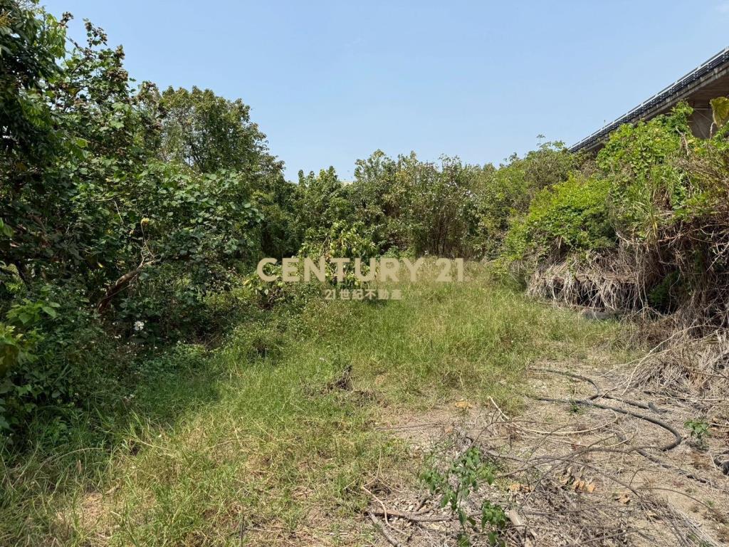 埔心台76橋下農地