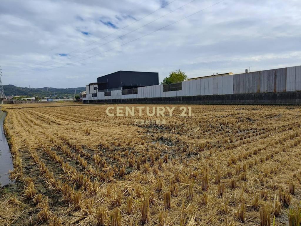 員林東南路旁農保美田