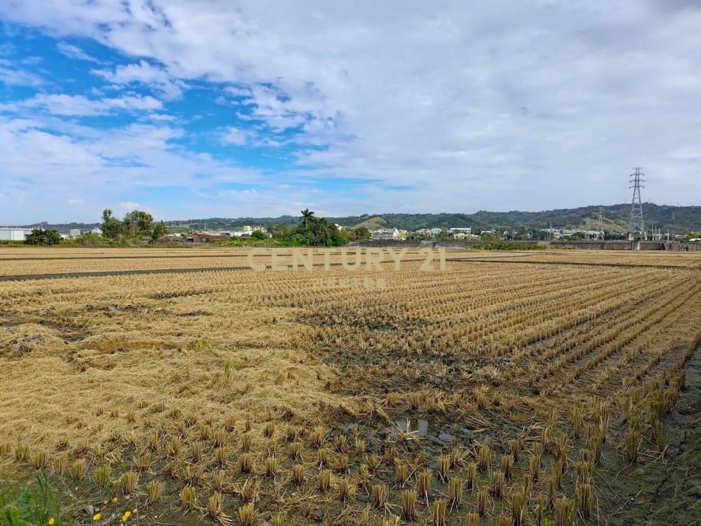 員林東南路旁農保美田
