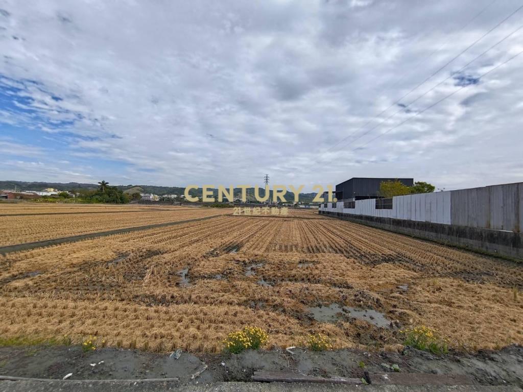 員林東南路旁農保美田