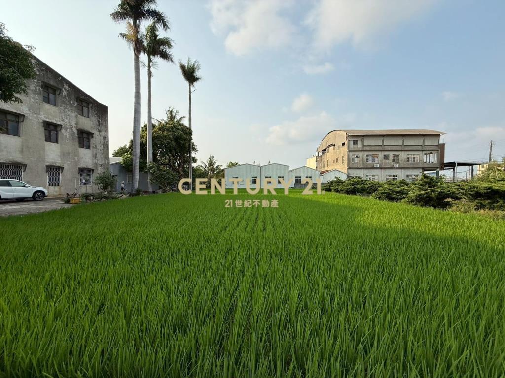 北斗螺陽路角地美田