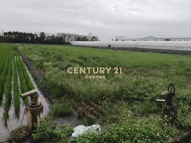 溪湖大溪路旁田地