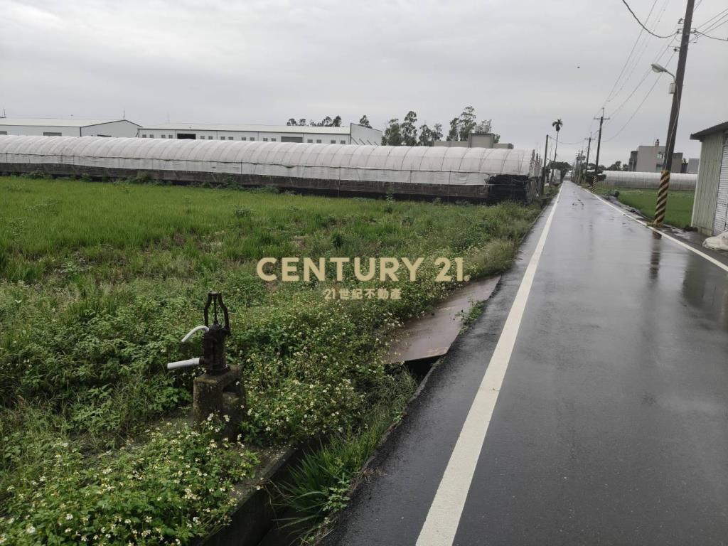 溪湖大溪路旁田地