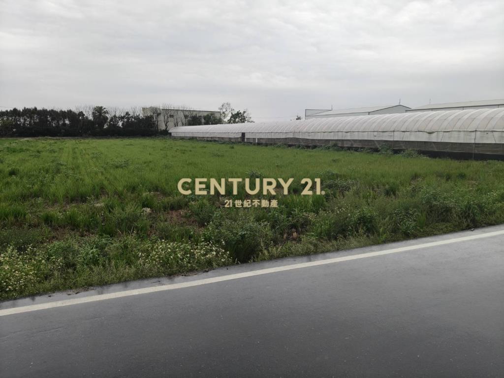 溪湖大溪路旁田地