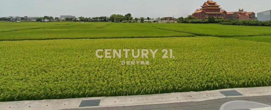 埔心都市計畫農地