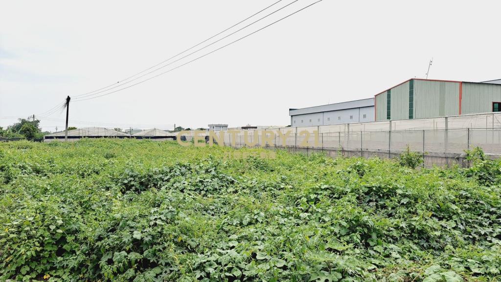 埔心76交流道旁田地
