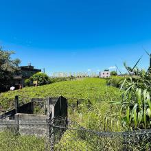 大村田洋巷旁建地+田地(專任)
