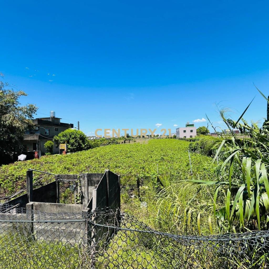 大村田洋巷旁建地+田地(專任)