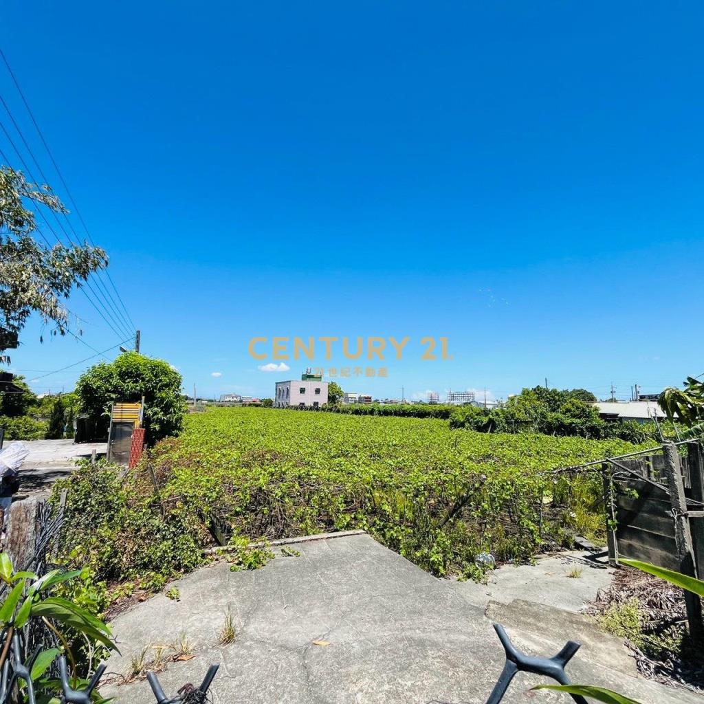 大村田洋巷旁建地+田地(專任)