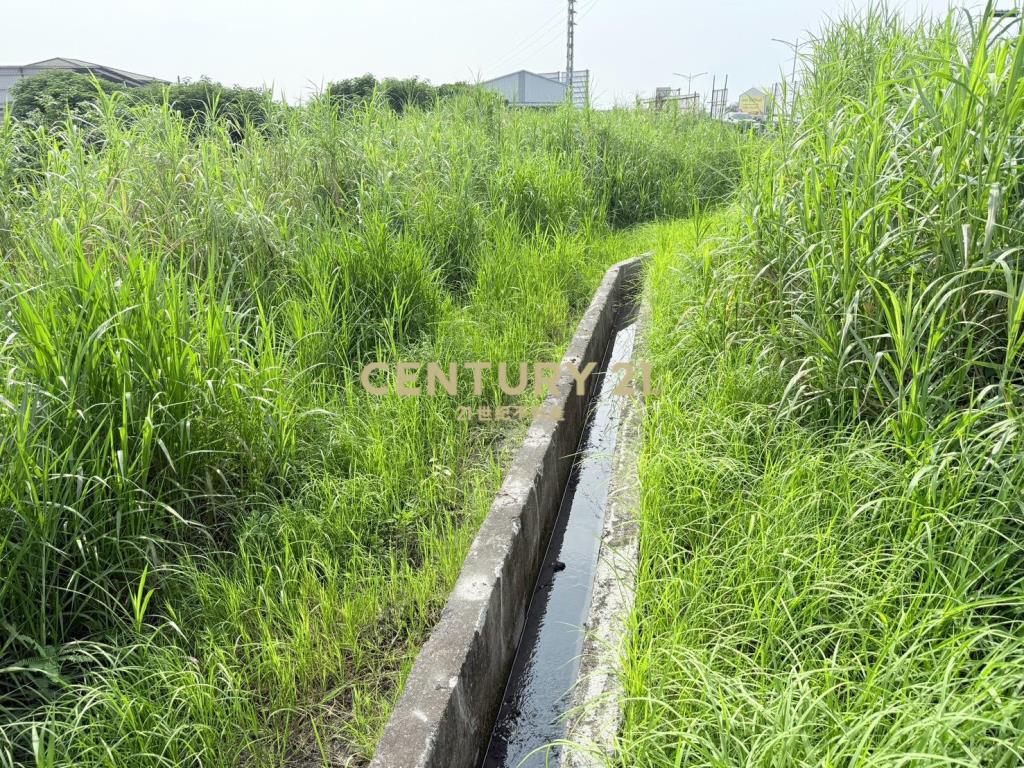 埔心台76旁員埔路農地
