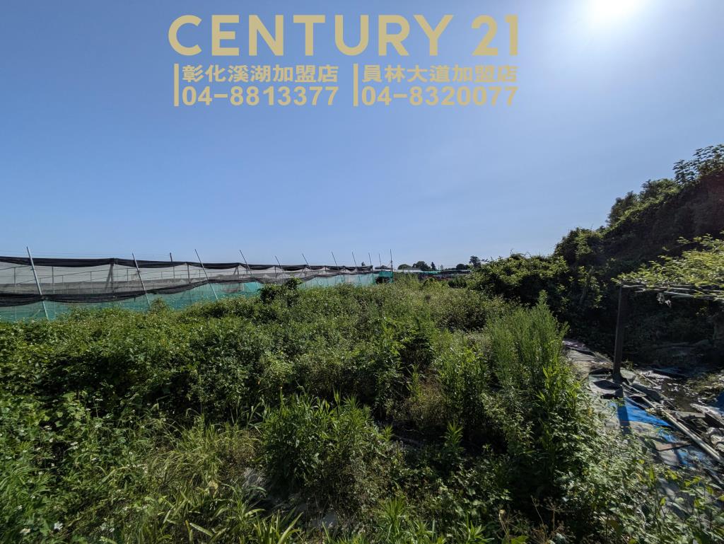 永靖湳墘超俗農保田