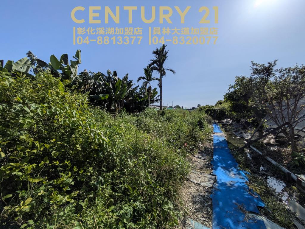 永靖湳墘超俗農保田