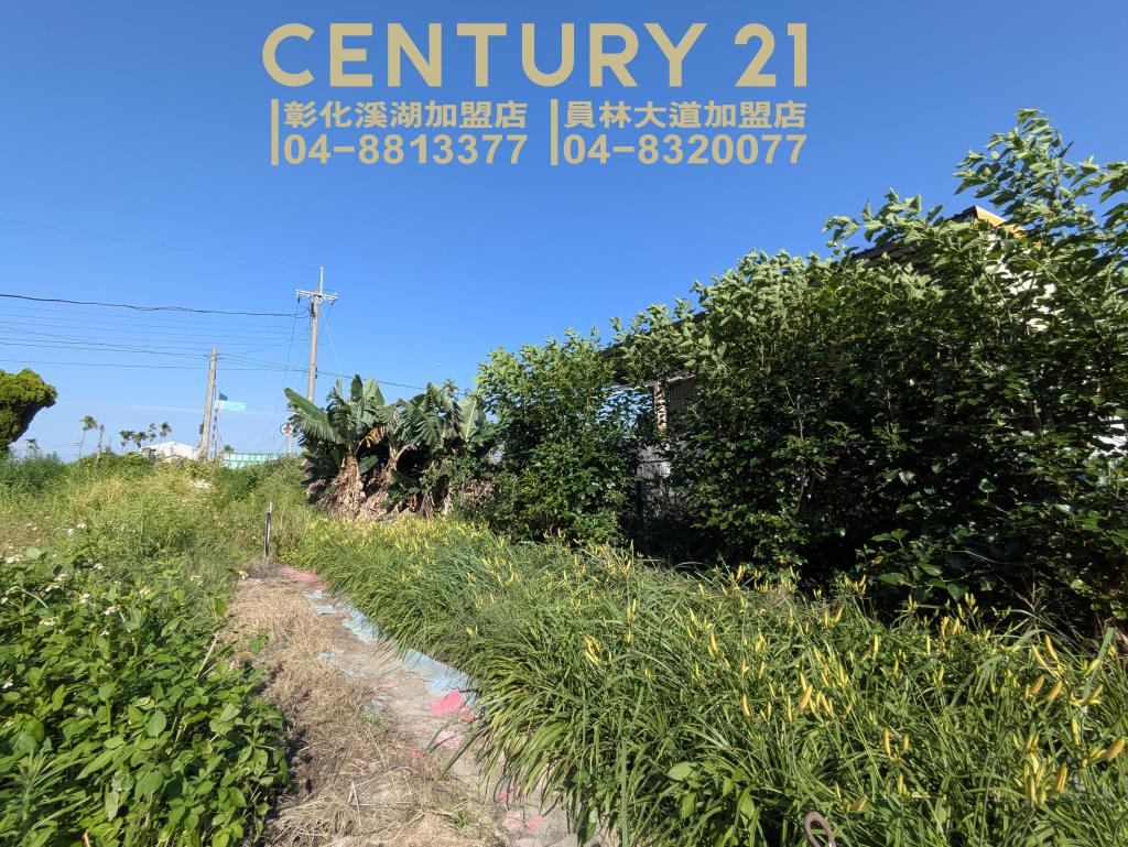 永靖湳墘超俗農保田