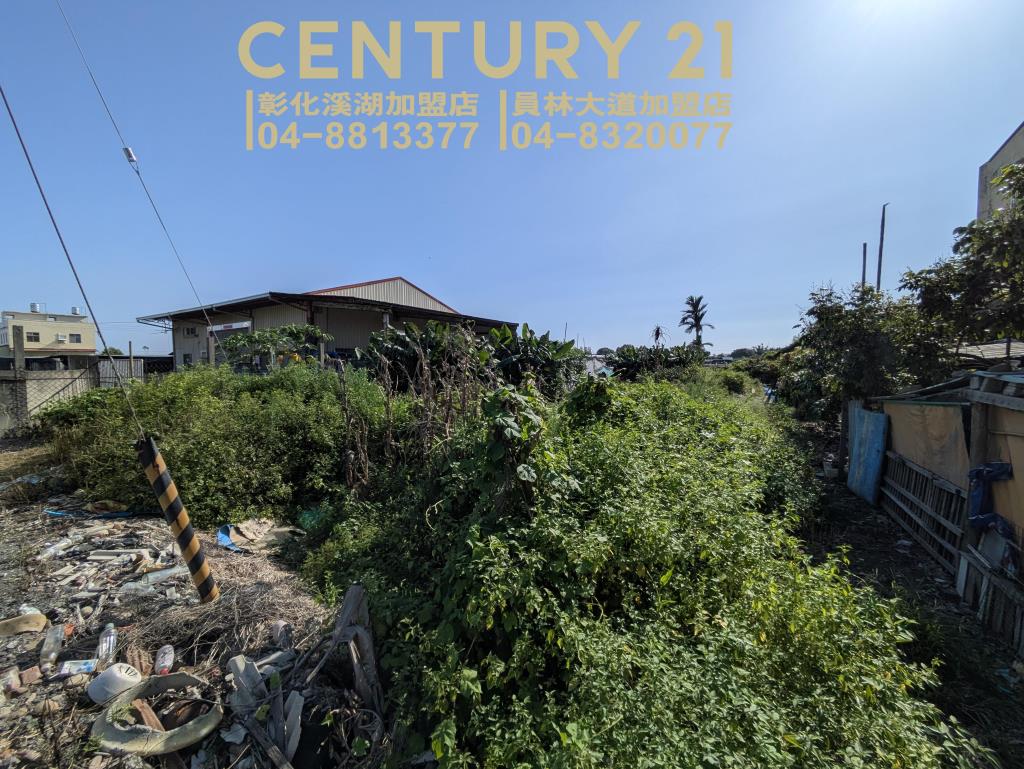 永靖湳墘超俗農保田