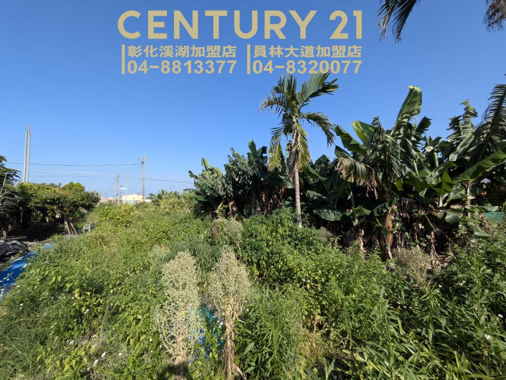 永靖湳墘超俗農保田