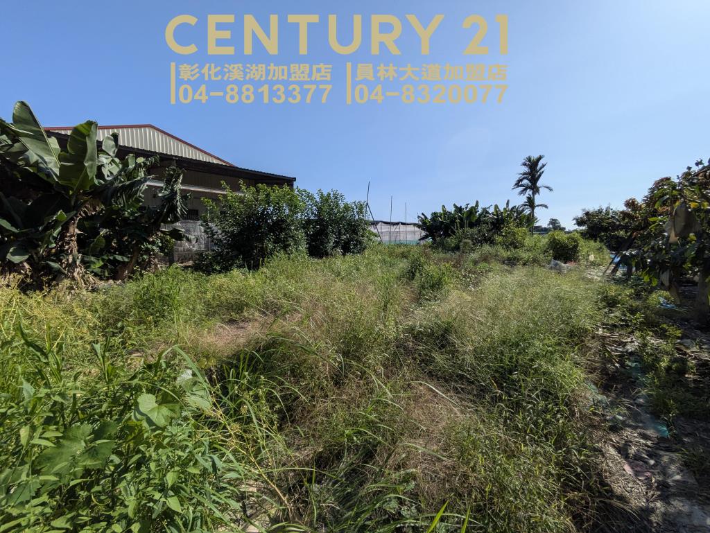 永靖湳墘超俗農保田